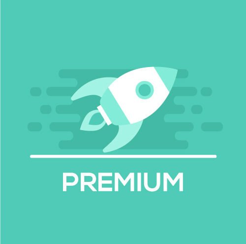 Premium Consulting Package